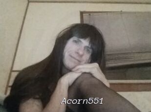 Acorn551
