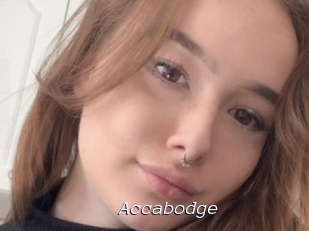 Accabodge
