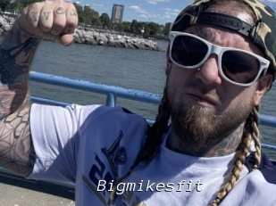 Bigmikesfit