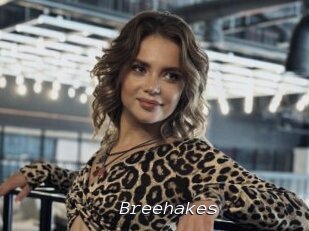 Breehakes