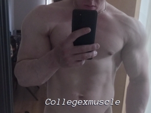 Collegexmuscle