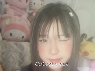 Cuteshycat