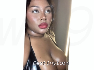 Destinytorn