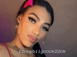 Ebonybiigcock22cm