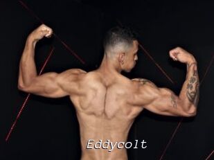 Eddycolt