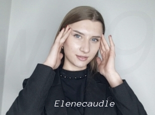 Elenecaudle