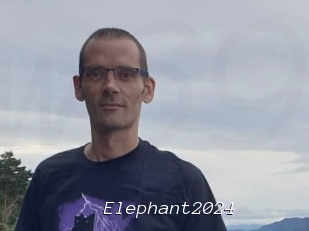 Elephant2024