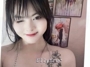 Ellytruc