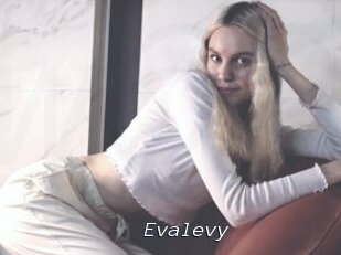 Evalevy