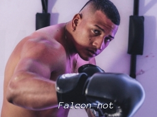 Falcon_hot