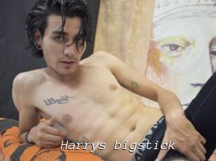 Harrys_bigstick