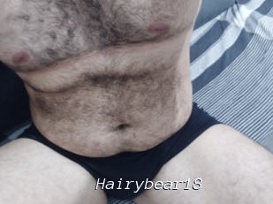 Hairybear18