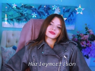 Harleymorrison