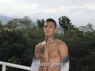 Harrymera