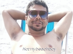 Hornybeachboy