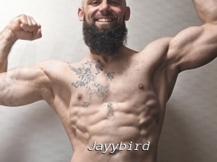 Jayybird