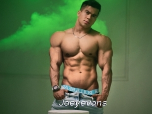 Joeyevans