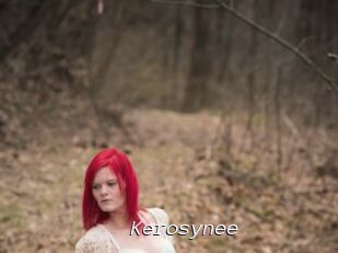 Kerosynee