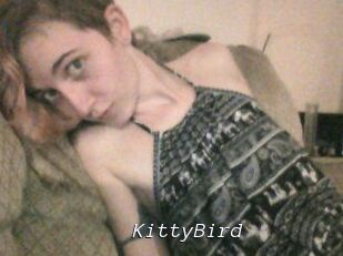 KittyBird