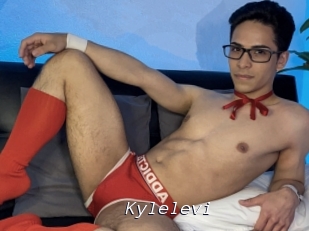 Kylelevi