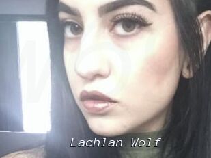 Lachlan_Wolf