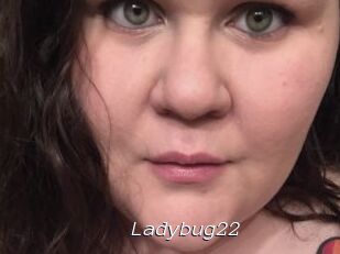 Ladybug22