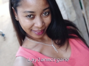 Laylahmorgane