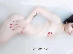 Le_mure