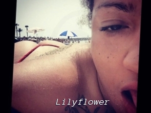 Lilyflower