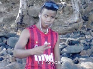 Linxyosy