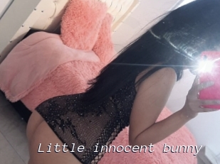 Little_innocent_bunny