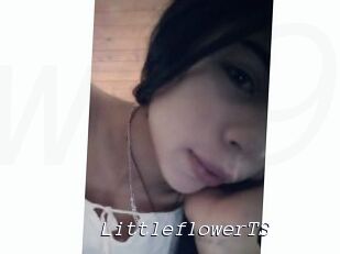 LittleflowerTS