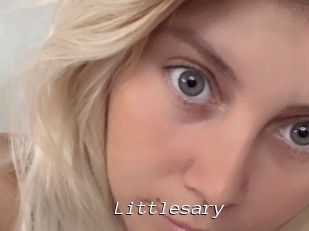 Littlesary