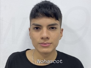 Nohascot