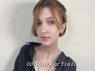 Odelinagarfield