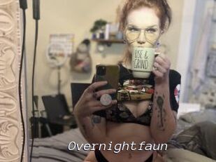 Overnightfaun