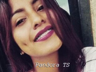 Pandora_TS