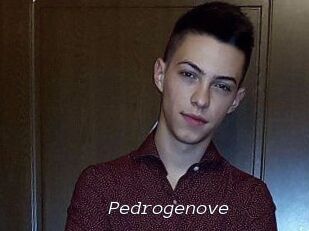 Pedrogenove