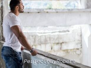 PerfectguyRobert