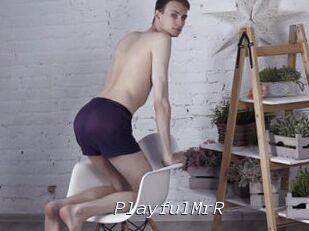 PlayfulMrR