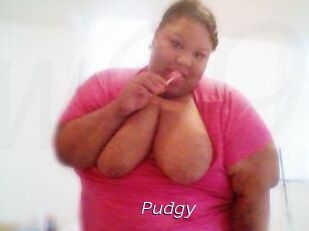 Pudgy