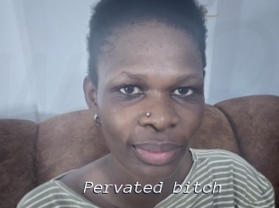 Pervated_bitch