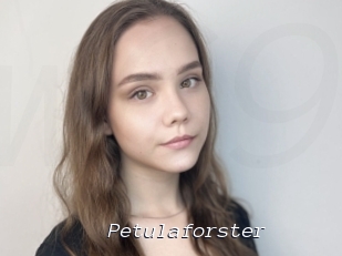 Petulaforster