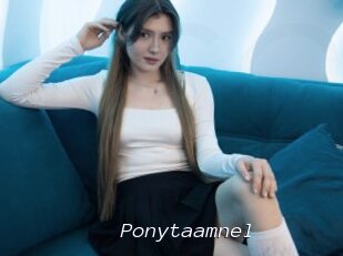 Ponytaamnel