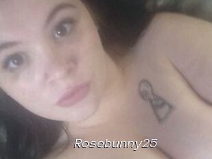 Rosebunny25