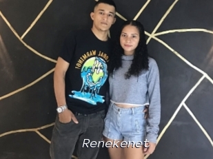 Renekenet