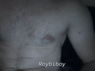 Roybiboy