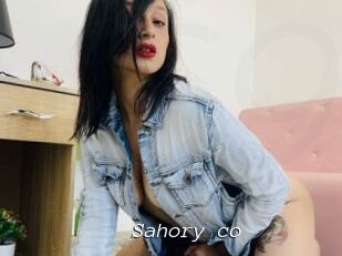 Sahory_co