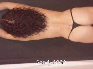 Sandy1000