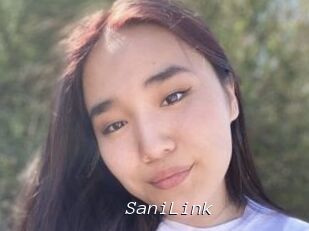 SaniLink